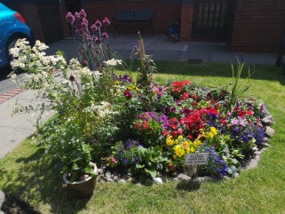 Housman Park Garden Competition Entry Image